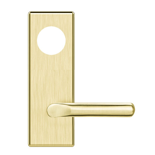 Lock Mortise Trim Set Satin Brass