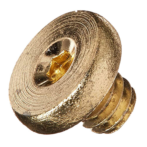 Cover Screw for 4040XP Bright Brass Finish