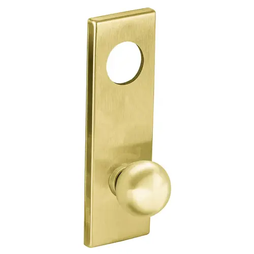 Lock Mortise Trim Set Satin Brass