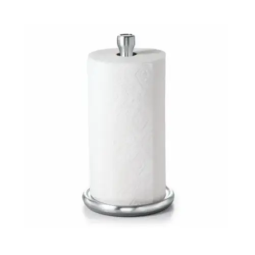 Paper Towel Holder, Stainless Steel, Silver