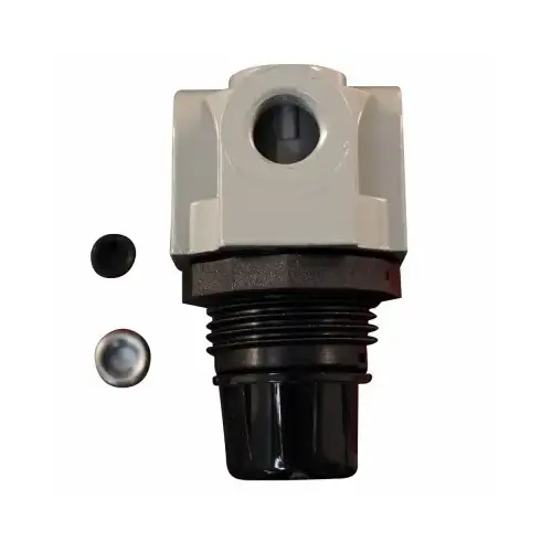 1/4 In. NPT Mini Pressure Regulator