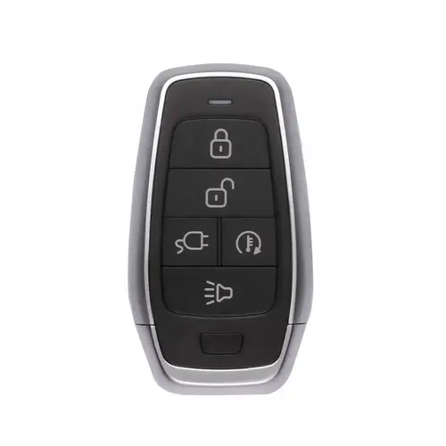 MaxiIM IKEY Programmable Smart Key