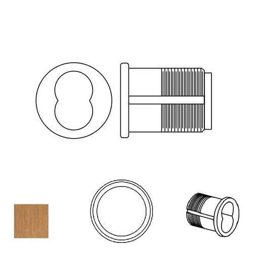 Mortise IC shell only, Satin Bronze