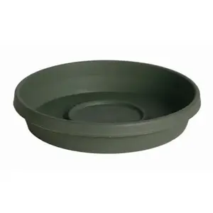 Bloem Terratray 1.5 in. H X 7.5 in. D Resin Traditional Tray Thyme Green