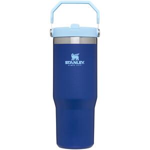 Stanley 30 oz Tumbler with Handle & Straw Lid NEW Pool Color Review 