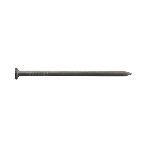 00 Common Nail, 20D, 4 in L, Brite, Flat Head, Round, Smooth Shank, 1 lb