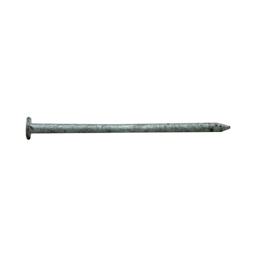 Pro-Fit 0054185 Common Nail, 12D, 3-1/4 in L, Steel, Hot-Dipped Galvanized, Flat Head, Round, Smooth Shank, 5 lb