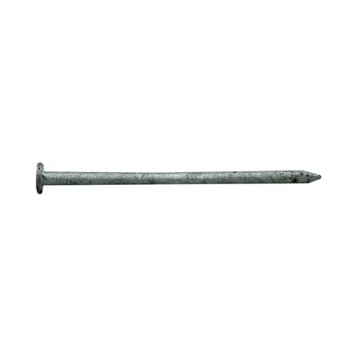 Common Nail, 12D, 3-1/4 in L, Steel, Hot-Dipped Galvanized, Flat Head, Round, Smooth Shank, 5 lb