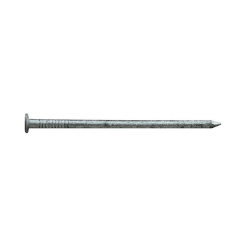 Box Nail, 6D, 2 in L, Steel, Hot-Dipped Galvanized, Flat Head, Round, Smooth Shank, 5 lb