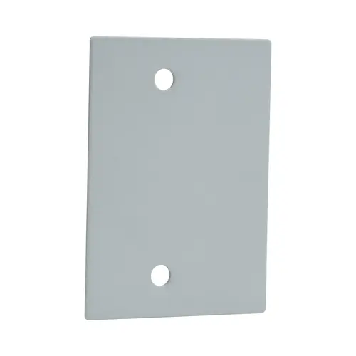 Cover Plate Only Satin Brass