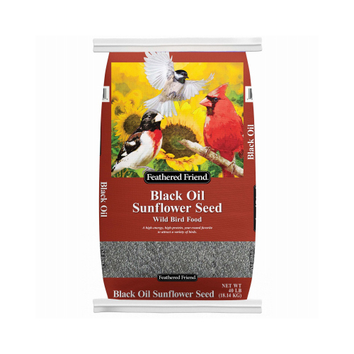 Feathered Friend Black Oil Sunflower Seed Wild Bird Food, 40 lb bag