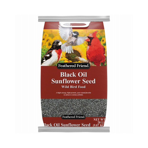 Feathered Friend 14197 Black Oil Sunflower Seed Wild Bird Food, 20-Lb. Bag