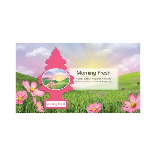 Little Trees U3S-32028 Car Air Freshener, Morning Fresh, 3-Pk.
