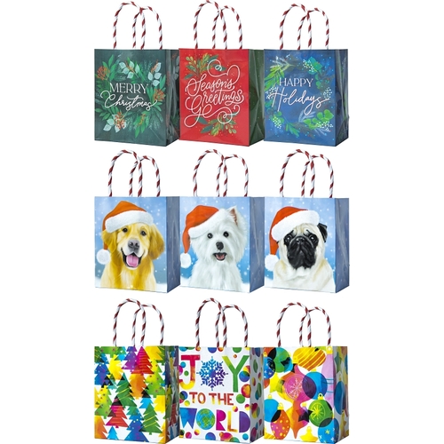 Small Gift Bag with Handle, 4-1/2 in W, 5-1/2 in H, Paper, Festive