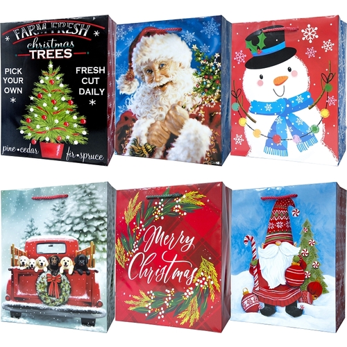 Large Vertical Gift Bag, 10-1/4 in W, 12-1/2 in H, Paper, Festive