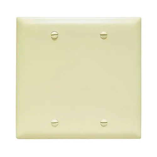 Blank Wallplate, 0.07 in Thick, 2 -Gang, Nylon, Ivory, Box Mounting