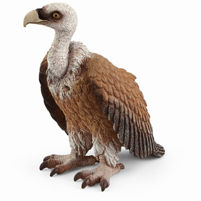 SCHLEICH NORTH AMERICA 14847 Brown & White Vulture Toy Animal Figure, Ages 3 & Up