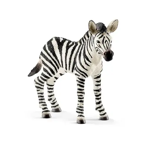 WHT/BLK Zebra Foal - pack of 5