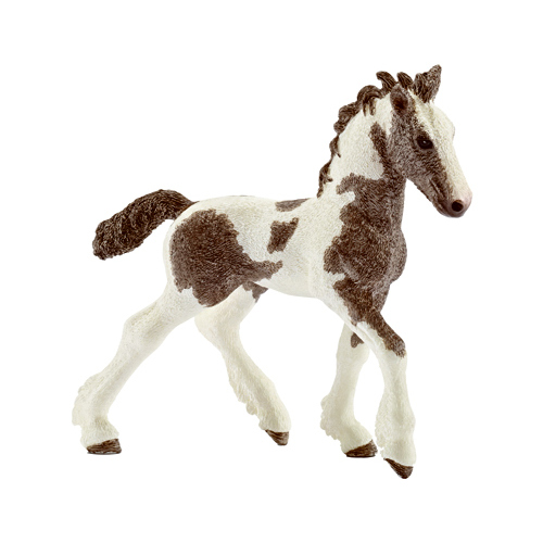 BRN/WHT Tinker Foal - pack of 5