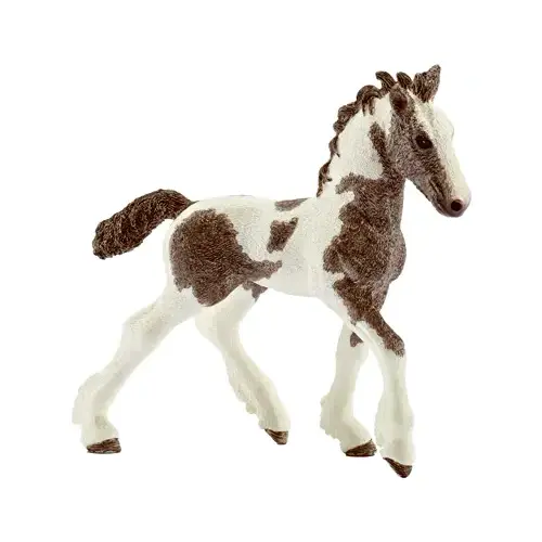 BRN/WHT Tinker Foal