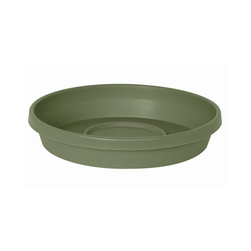 Tray Terra 1.2" H X 5.5" D Resin Traditional Thyme Green Thyme Green