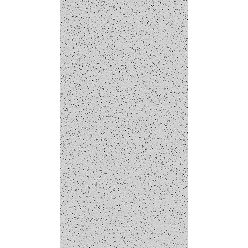 USG Inteios 2310/290 2x4x5/8 Ada Se Ceiling Panel At