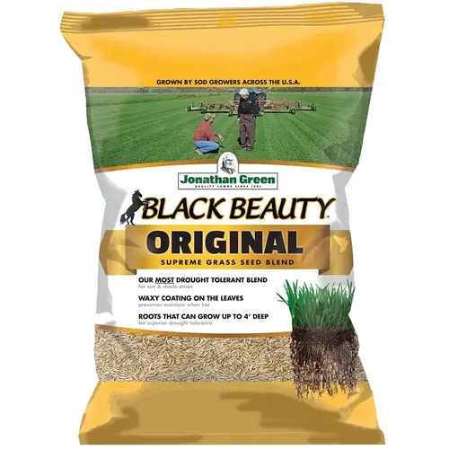 Black Beauty Grass Seed, 50 lb Bag Green