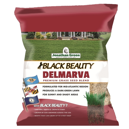 Jonathan Green 10390 Black Beauty Grass Seed Mix, 3 lb