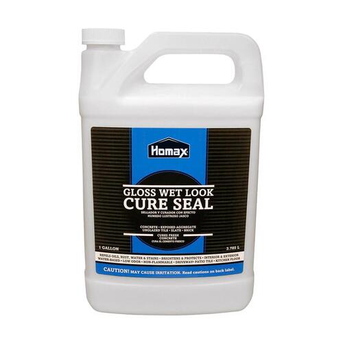 Homax 0613-XCP4 Sealer Cure Seal Gloss Clear Water-Based 1 gal Clear - pack of 4