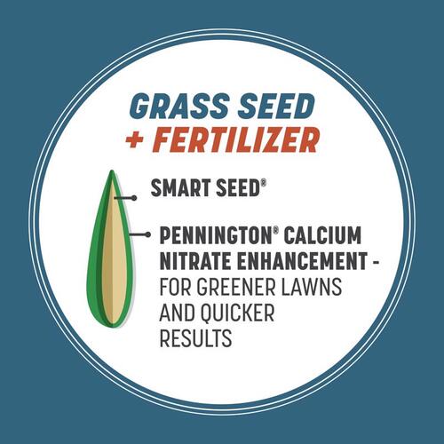 Pennington 100543706 100526636 Grass Seed, 3 lb Bag