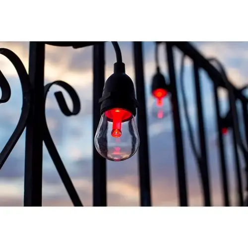 String Light Set Decorative Color Changing 30 ft.