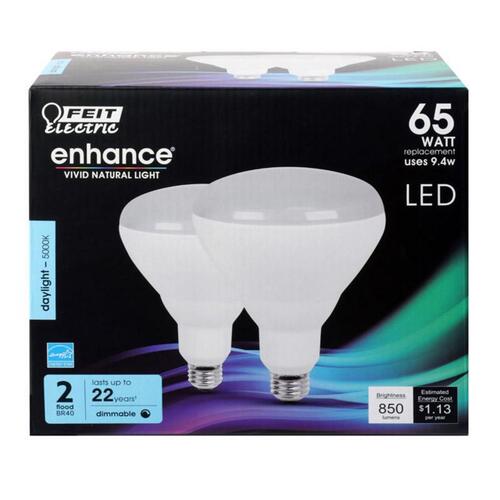 LED Bulb, Flood/Spotlight, BR40 Lamp, 65 W Equivalent, E26 Lamp Base, Dimmable, Frosted Pair