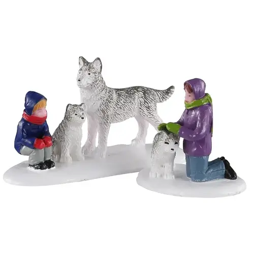 TYPE 3 Vail Village - pack of 36