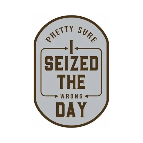 OPEN ROAD BRANDS LLC 90214710 Metal Sign, "I Seized the Wrong Day", 10 x 14 In.