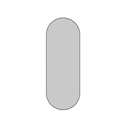 Inara 22 in. x 60 in. Pill Mirror