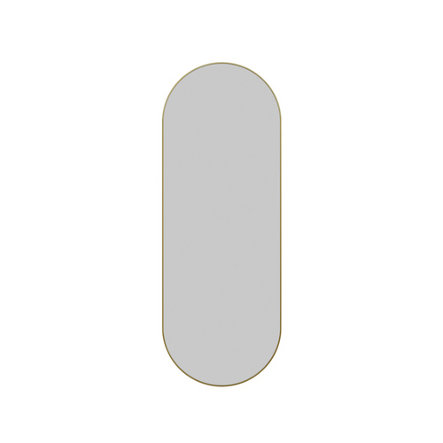 Inara 22 in. x 60 in. Pill Mirror