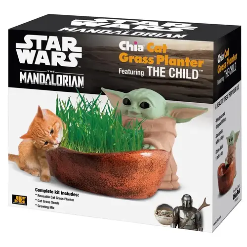 Chia Pet CG762A16 Decorative Planter Star Wars Terracotta Clay Multicolored
