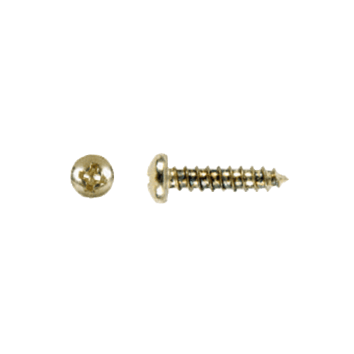 Brass Mounting Screw for Hinges and Magnetic Glass Door Latches - pack of 50