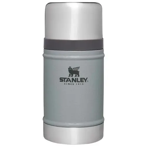 Canteen Silver 24 oz Silver