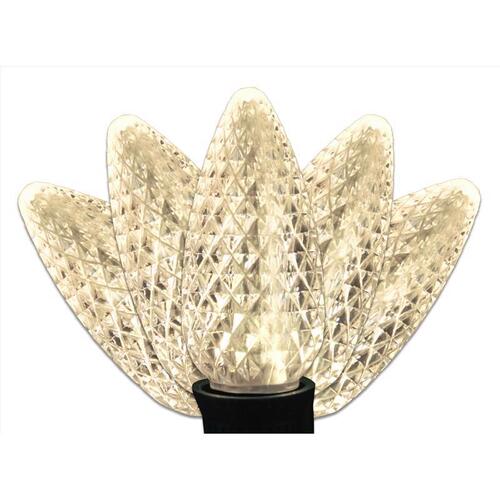 Christmas Lights Platinum LED C9 Warm White 25 ct String 25 ft.