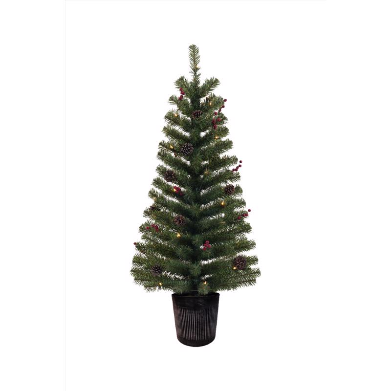 Celebrations 283-135-35LM Christmas Tree 4 ft. Full LED 35 ct Northern Pine Tree Prelit Incan Color Changing