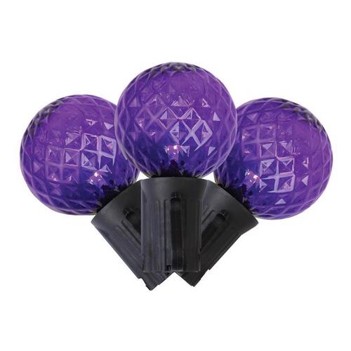 String Lights Purple 25 ct LED G40 Halloween