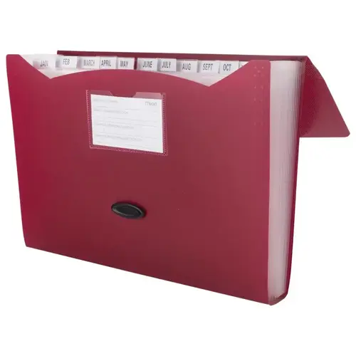 File Organizer 9.75" H X 13" W Assorted Assorted