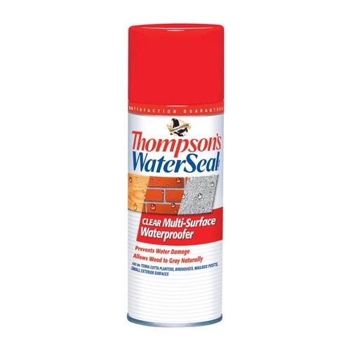 Thompson's Waterseal 10100 Multi-Surface Waterproofer Clear Water-Based 12 oz Clear