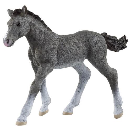 Trakehner Foal Figurine - pack of 5