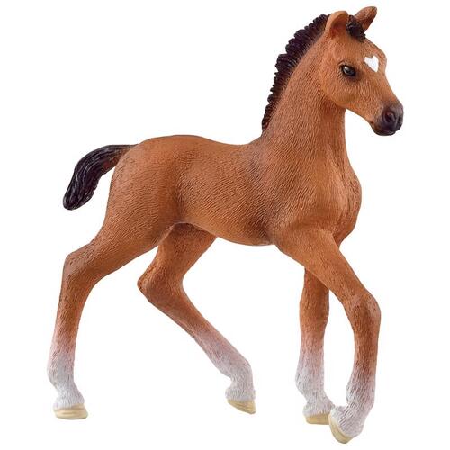 Oldenburg Foal Horse Figurine Brown Brown - pack of 5