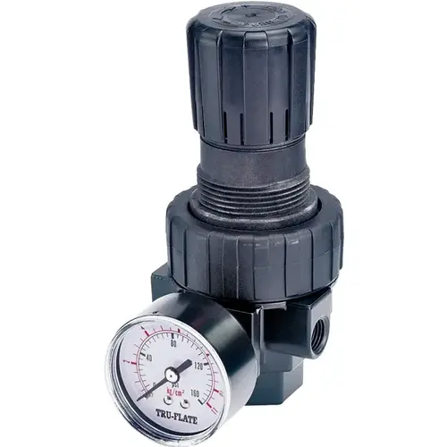 3/8 In. FNPT 250 PSI 65 CFM Compact Pressure Regulator