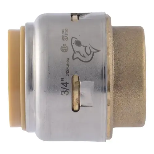 Max End Cap, 3/4 in PTC, Brass, 250 psi Pressure