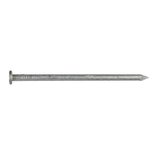 Nail 16D 3-1/2" Wood Joiner Hot-Dipped Galvanized Steel Round Head 5 lb Hot-Dipped Galvanized