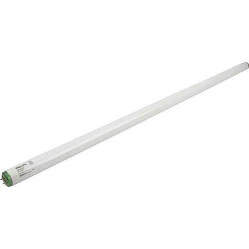 Fluorescent Bulb, 20 Watt, T12, 6,500k, 73 Cri